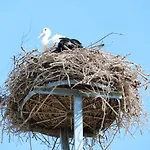 Radduscher Hafen 3*