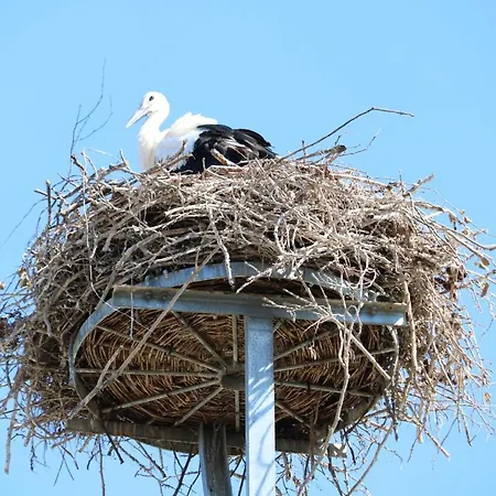Radduscher Hafen 3*