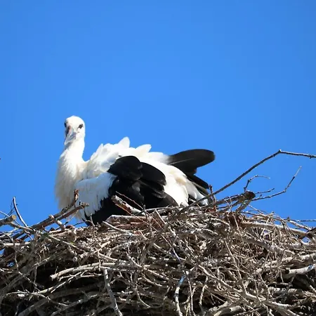 Radduscher Hafen Hotel Vetschau