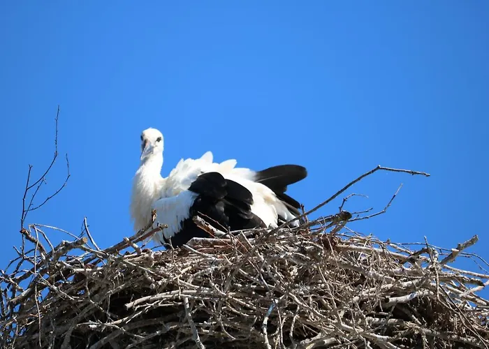 Radduscher Hafen Hotel Vetschau