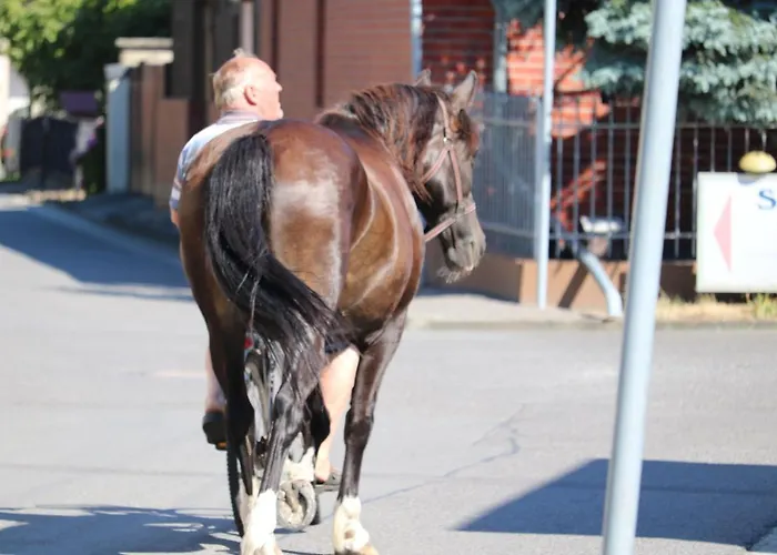 Radduscher Hafen 3* 베츠쇼우